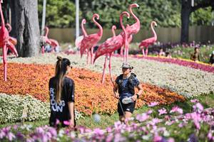 BIB: 
                            <button type="button" onclick="openModal(27793466)" class="btn btn-primary btn-sm float-right btn-popup" data-toggle="modal" data-target=".modal-high-quality">
                        <i class="fas fa-shopping-cart"></i> Add to Cart
                    </button>
                                            <button type="button" onclick="isThisMe(27793466, true)" class="btn btn-success btn-sm float-right btn-popup btn-isme hidden" data-toggle="tooltip" data-placement="bottom" title="นี่คือรูปของคุณใช่ไหม คลิกที่นี่เพื่อเอาเข้าอัลบั้ม">
                        <i class="fas fa-plus"></i> Add to album
                    </button>
                    <button type="button" onclick="isThisMe(27793466, false)" class="btn btn-warning btn-sm float-right btn-popup btn-isnotme hidden">
                        <i class="fas fa-ban"></i> Remove from album
                    </button>